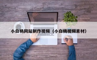 正定小白杨网站制作视频（小白杨视频素材）