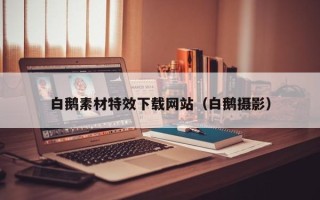 正定白鹅素材特效下载网站（白鹅摄影）